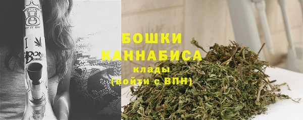 крисы Михайловск