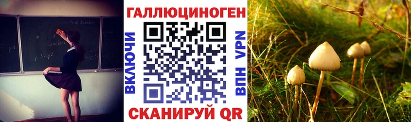 Псилоцибиновые грибы мицелий  магазин продажи наркотиков  ОМГ ОМГ ссылки  Рудня 